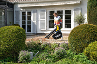 Battery Leaf Blower BLV 18-200