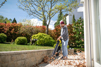 Leaf Vacuum Cleaner Blower BLV 36-240
