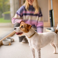 ფილტრების ნაკრები FCV 4